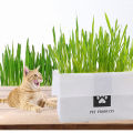 Teekland Natural Cat Grass Planting Kit DIY Anti-hair Ball To Aid Digestion Cat Grass Suit Soilless Lazy Hydroponic Organic Cat Grass. 