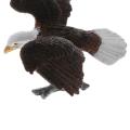 【Happier】 TOOYFUL Plastic Realistic Wildlife Jungle Forest Animals Bald Eagle Action Figure Toys Playset, Kids Toddler Nature Toys Home Decor Collectibles. 