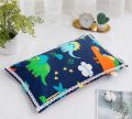 【NEW】 Buckwheat Bantal Kanak Organik Cotton Baby Organic Buckwheat Pillow Newborn 天然荞麦儿童枕头 Head Protection Sleep. 