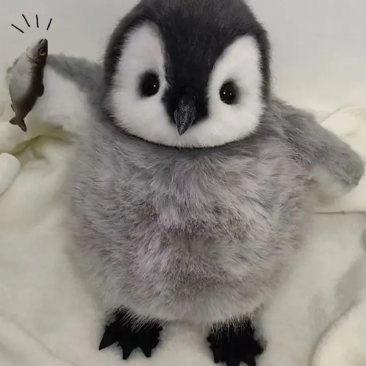 Emperor%20Penguin%20baby%20plush%20toy%20doll%20cartoon%20cute%20gift%20-%20Image%207