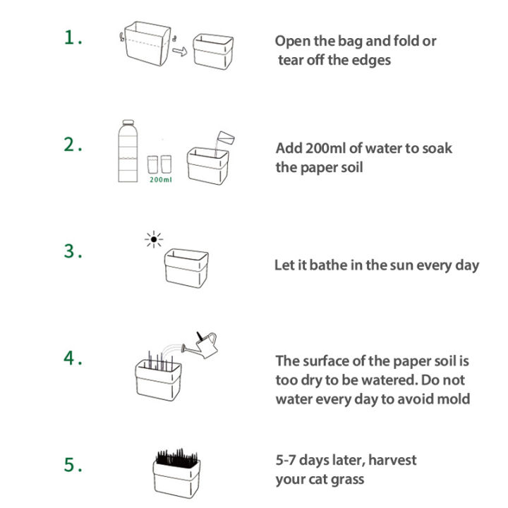 Teekland Natural Cat Grass Planting Kit DIY Anti-hair Ball To Aid Digestion Cat Grass Suit Soilless Lazy Hydroponic Organic Cat Grass