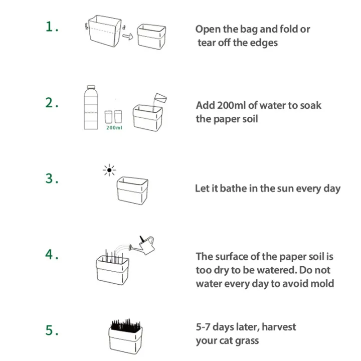 Teekland Natural Cat Grass Planting Kit DIY Anti-hair Ball To Aid Digestion Cat Grass Suit Soilless Lazy Hydroponic Organic Cat Grass