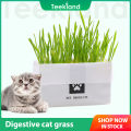 Teekland Natural Cat Grass Planting Kit DIY Anti-hair Ball To Aid Digestion Cat Grass Suit Soilless Lazy Hydroponic Organic Cat Grass. 