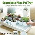 PP Plant HOT SELL New Tray Succulents Seedling Drain Garden Balcony Growing Holder Nursery - Black. 