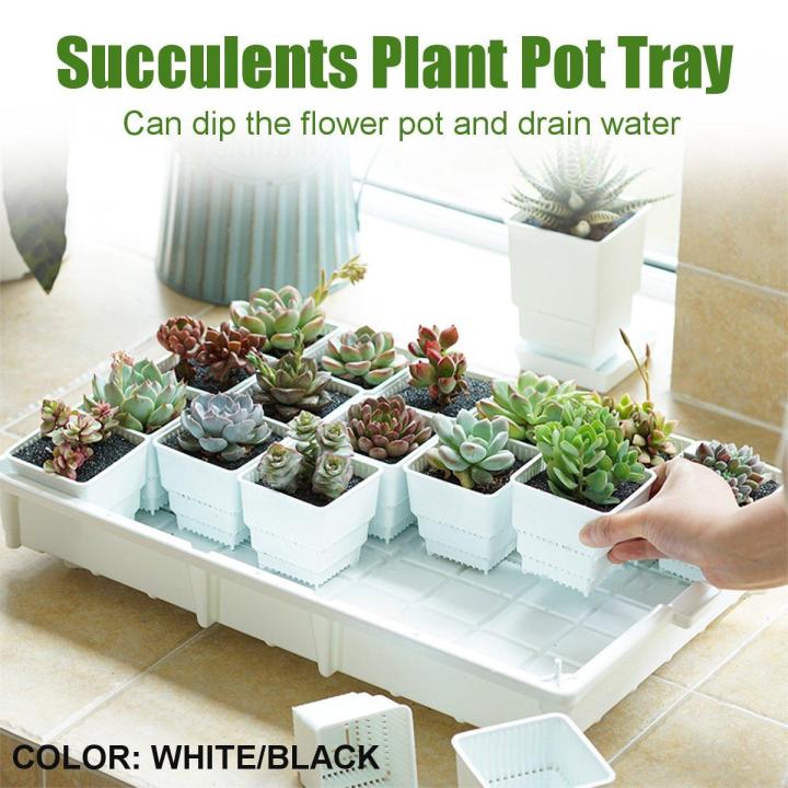 PP Plant HOT SELL New Tray Succulents Seedling Drain Garden Balcony Growing Holder Nursery - Black