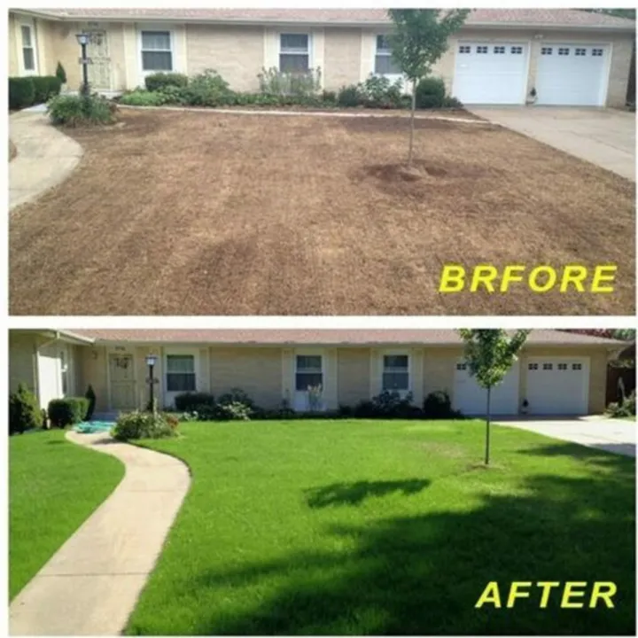 20x300cm%20Biodegradable%20premium%20Grass%20%20Mat%20Cushion%20Ecological%20Blanket%20Starter%20Carpet%20Garden%20Supplies%20-%20-%20Image%205