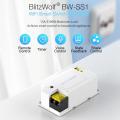 BlitzWolf BW-SS1 HOT SELL New 3300W 15A Basic DIY   Switch Smart Home APP Remote Control Timer Module Socket Work with Amazon Echo Google Home IFTTT -. 
