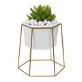 Hexagon Ceramic Plant Pot Metal Rack Holder Set Succulent Flower Planter Garden - Golden.