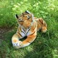 KIDOO 30cm - 60cm Plush Toy Simulation Life Doll Tiger Pillow Patung Harimau Zoo Stuffed Toys. 