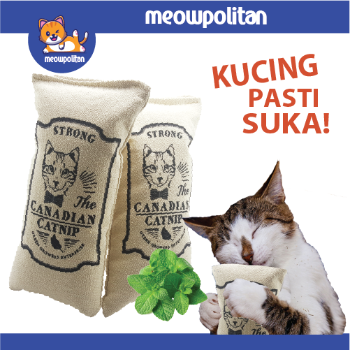 / Bantal Pillow Strong Canadian Caip Power