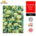 Gula Torrone candy 25pcs MILKISS milk Rico homark Fruits Barley Sweet Mint Big Foot Mini bites My foodies King. 