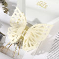 Korean Hollow Double Layer Butterfly Claw Simple Clip Ponytail Holder Fashion Hair Accessories for Woman.