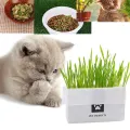Teekland Natural Cat Grass Planting Kit DIY Anti-hair Ball To Aid Digestion Cat Grass Suit Soilless Lazy Hydroponic Organic Cat Grass. 