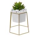Hexagon Ceramic Plant Pot Metal Rack Holder Set Succulent Flower Planter Garden - Golden.