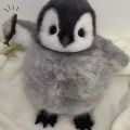 Emperor Penguin baby plush toy doll cartoon cute gift. 