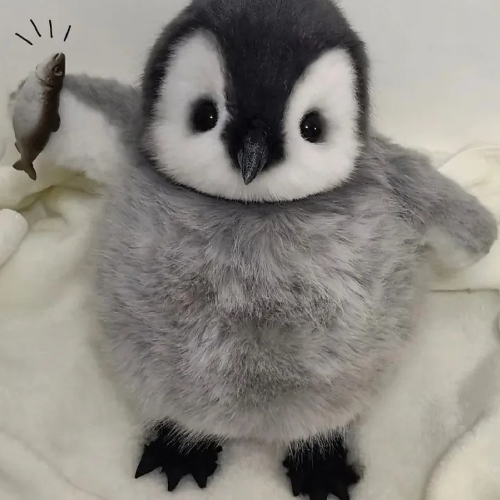 Emperor%20Penguin%20baby%20plush%20toy%20doll%20cartoon%20cute%20gift%20-%20Image%205