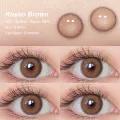 [Dubai&New Arrivals] Magister Lens Doll Eyes 14.2mm Russo Colored Contact Lenses Brown Gray Makeup. 