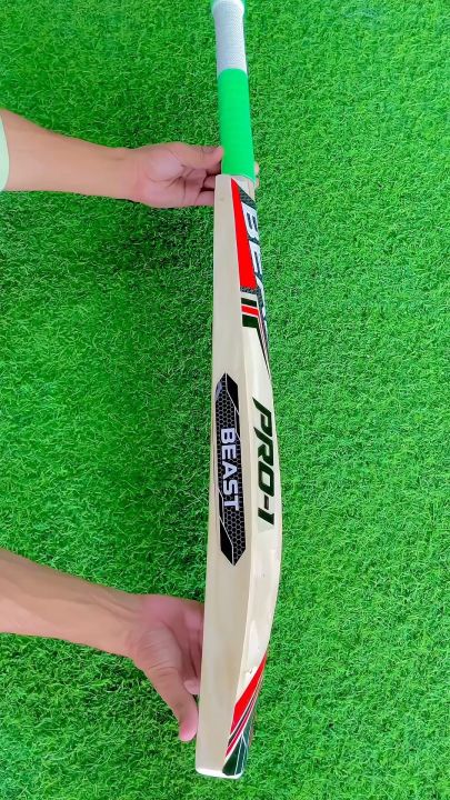 Beast Hard Ball Bat