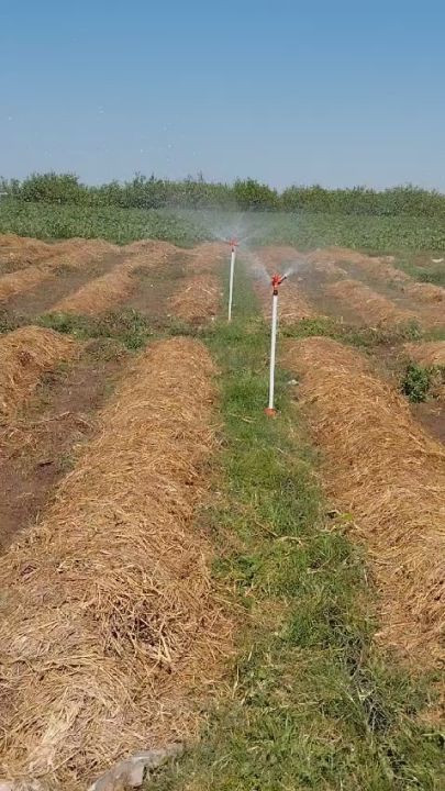 Vermicompost for sale 1KG to 40 KG Multipurpose Fertilizer