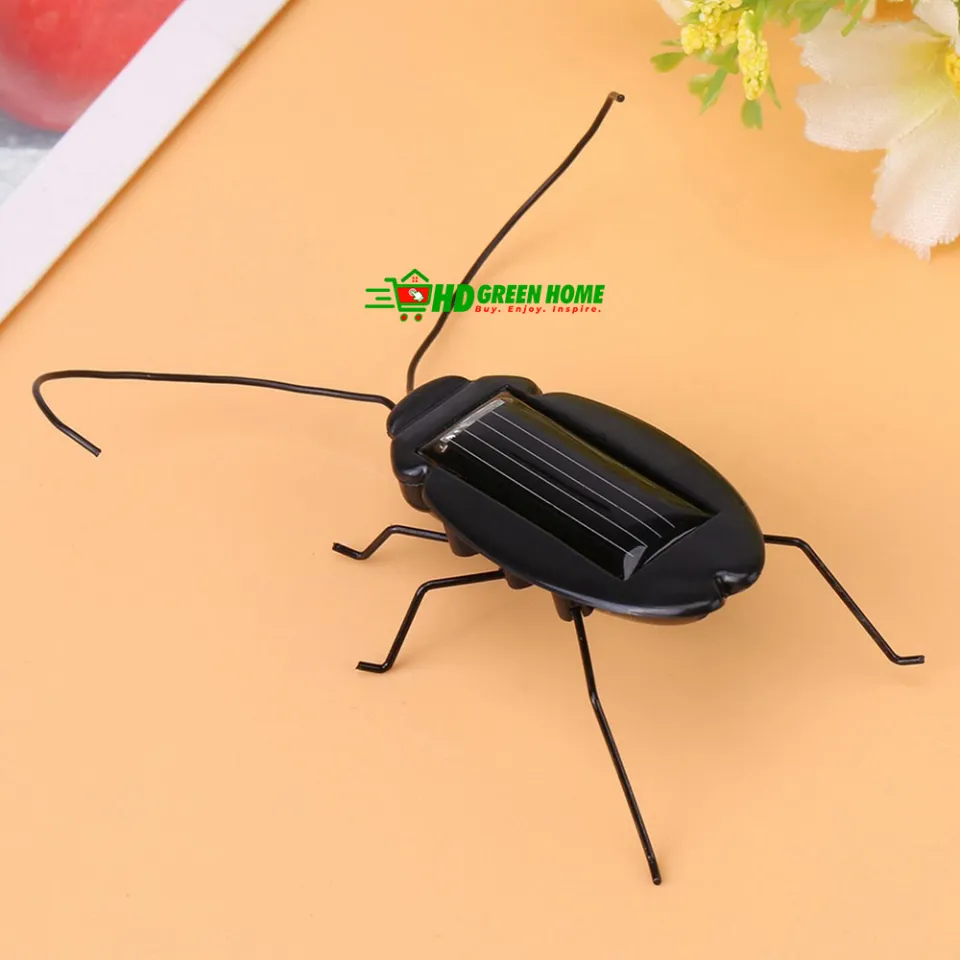 vibrating cockroach toy Pasante Vibrating Rings, Disposable Vibrating Ring for Couples, Enhances  Stimulation and Pleasure, Battery Included, 2 Count – Buy Online in Jordan