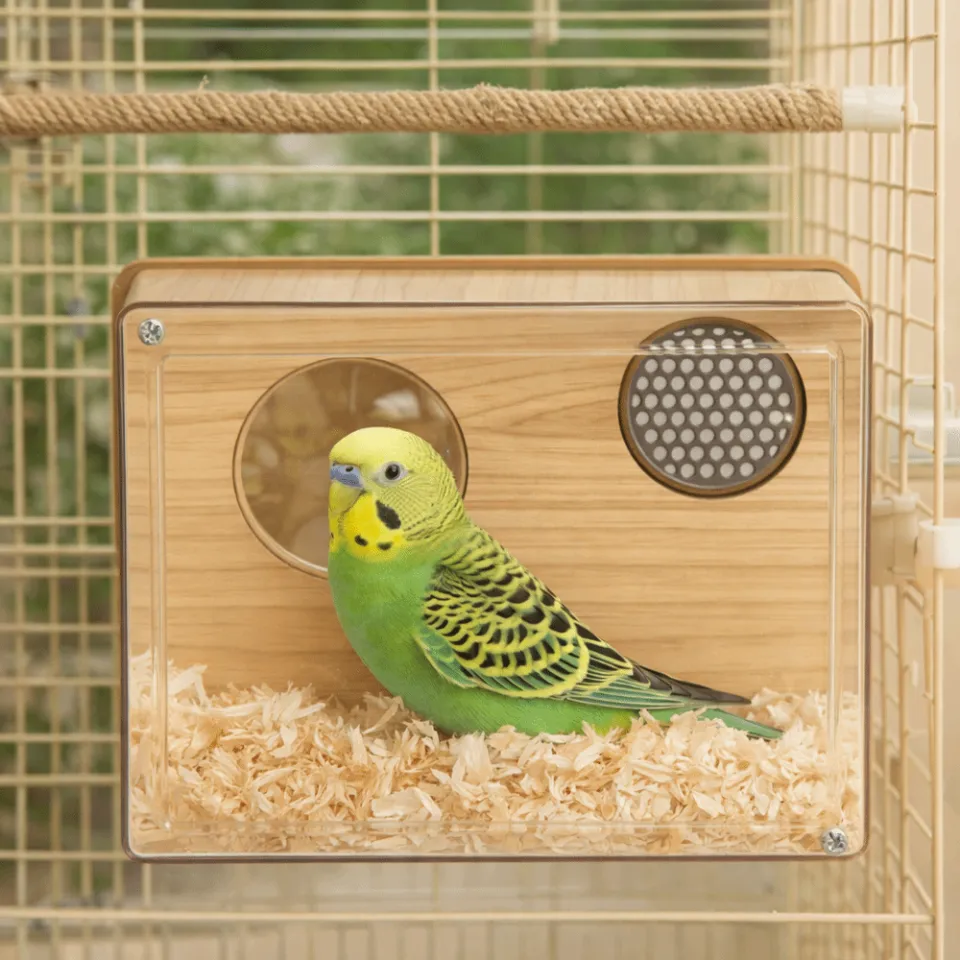 Birds Parakeet DI ダイレクトボックス Practical Transparent Parakeet Nesting Box Visible Odor Resistant