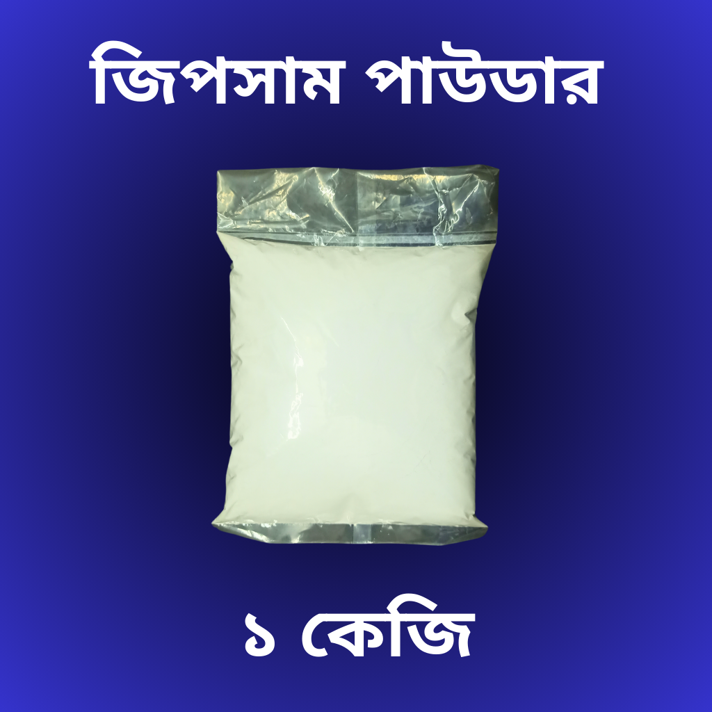 1 kg Gypsum Powder/ Plaster Of Paris For Art and Sculpture, Creative Projects