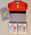 Men Tracksuit  Ferrari Sizes : M L Xl  6 Colours  Fabric : AA blended Jersey. 