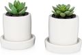 Plantable vase with a tray(2 piece combo set)Home and living room decorative.