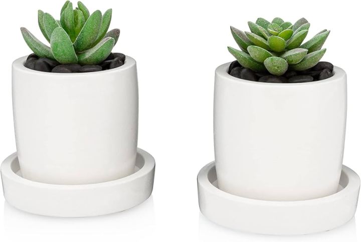 Plantable%20vase%20with%20a%20tray(2%20piece%20combo%20set)Home%20and%20living%20room%20decorative%20-%20Image%206