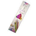Chilly Pop Pencil Pack of 12. 