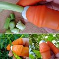 Silicone Thumb Cutter for Vegetables & Fruits - 5-in-1 Innovative Design for Effortless Cutting. 
