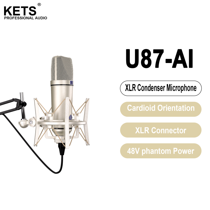 U87 AI XLR Condenser Microphone Professional Cardioid Studio Mic for ...
