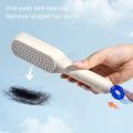 Self Cleaning Magic Hair Brush. 