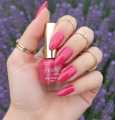 Nail paint / Emelie Premium Nail polish / Nail polish / various Nail paint colors for girls / Nails Makeup for girls. 