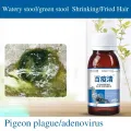 Green Water Stools, Pigeon Medicine, Newcastle Disease, Bursitis, Pigeon Supplies, Racing Pigeons, Parrots, Bird Supplies. 