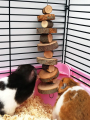 1pc-Simple wooden  wood chew toy rabbit, chew stick, round wood teeth grinding rope, small pet toy. 