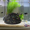 【2025 NEW】 Shrimp Breeding Cave fish tank Shrimp Hiding Place Aquarium Decoration Hiding Tools Supplies Betta Habitat Fish Resting Place.