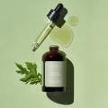 Graymelin Mugwort Pure Serum { 50 ml }. 