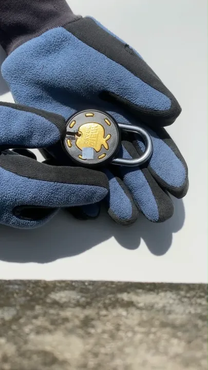 Rust Free Lock Apple 50mm Matt Finish Medium Size Rust Free Lock with Unique Keys ...