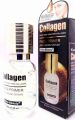 KISS BEAUTY Collagen Face Primer Anti-Aging Serum(55ml). 