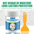 Wall Mending Agent Drywall Repair Kit with Scraper Multipurpose Wall Fixer Paste Quick Fix for Wall Crack 100/200g. 
