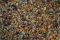 Pigeon feed 1kg. 