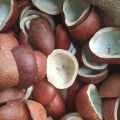 khopra giri best quality  coconut gri nariyal gri. 