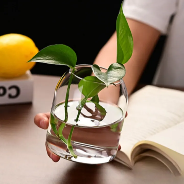 Simple%20Modern%20Glass%20Flower%20Vase%20Home%20Decoration%20Hydroponic%20Plant%20Bottle%20Desktop%20Decoration%20for%20Wedding%20Reception%20Family%20-%20Image%203