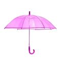 Transparent Fashion Umbrella. 