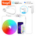RGB LED Neon Sign Light Strip 12V DIY Pir Motion Sensor Switch Wifi Tuya Smart Home Decor APP Dimmable Flexible Tape Silicone-Q. 
