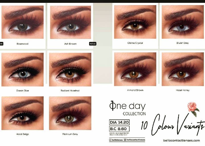 Bella one day collection orignal bella 10 colors with lans solution and ...