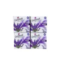 Ever Fresh (Buy 3 Get 1 FREE) Bathroom Air Freshener Block| Lavender | 50 gm each. 