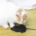 Rat Funny Cat Toy With Remote Control Multicolor Mouse Cute Wireless Controlled Toy Rat Pet Supplies Cat Pet Supplies. 