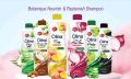 Olina Shampoo with Deep conditioner Pro vitamin B5&silk extracts Family pack 1000ml. 